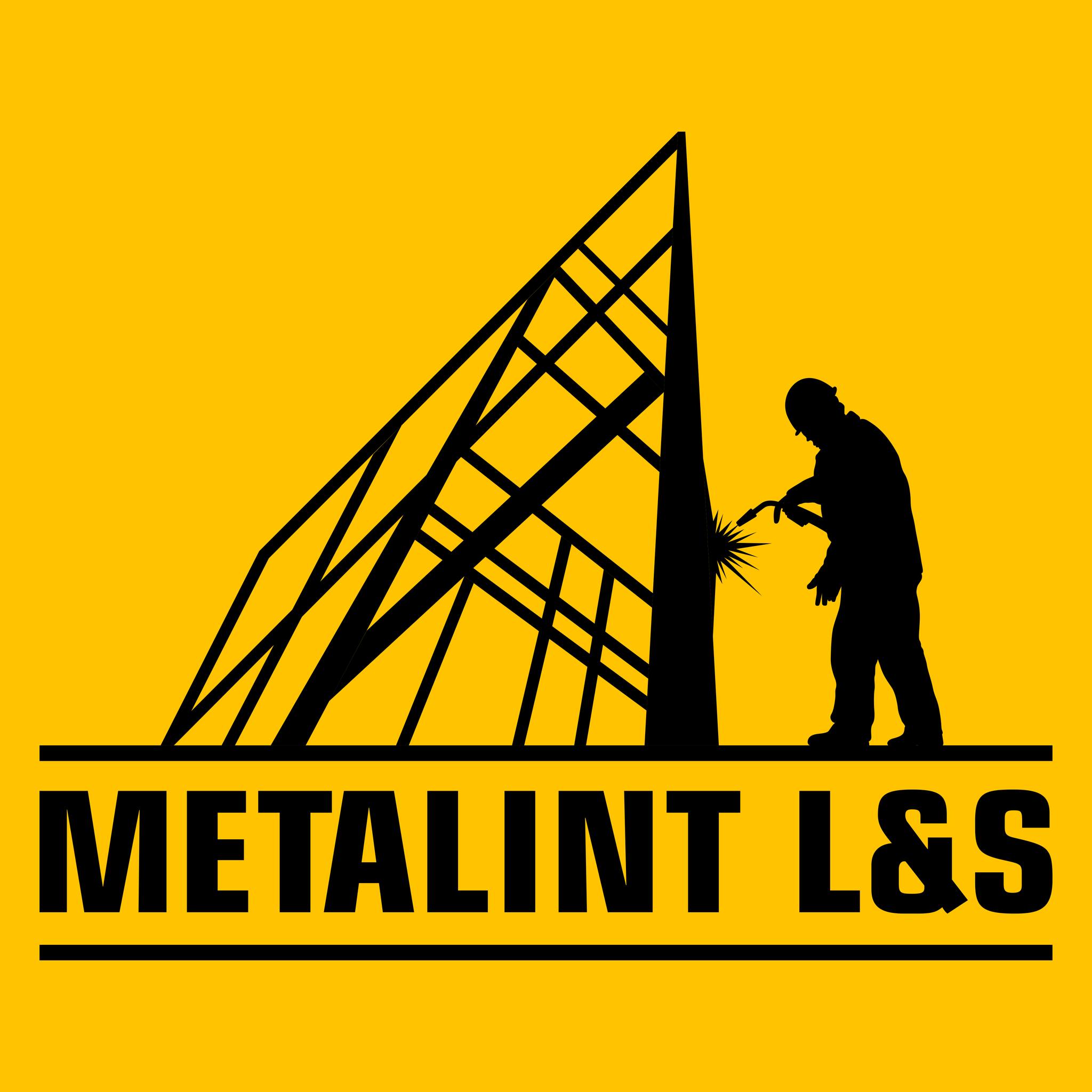Metalint Logo